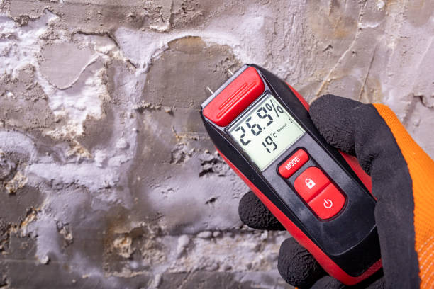 Best Bathroom Mold Remediation in Corbin, KY