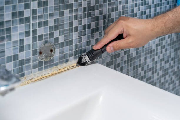 Best Post-Flood Mold Remediation in Corbin, KY